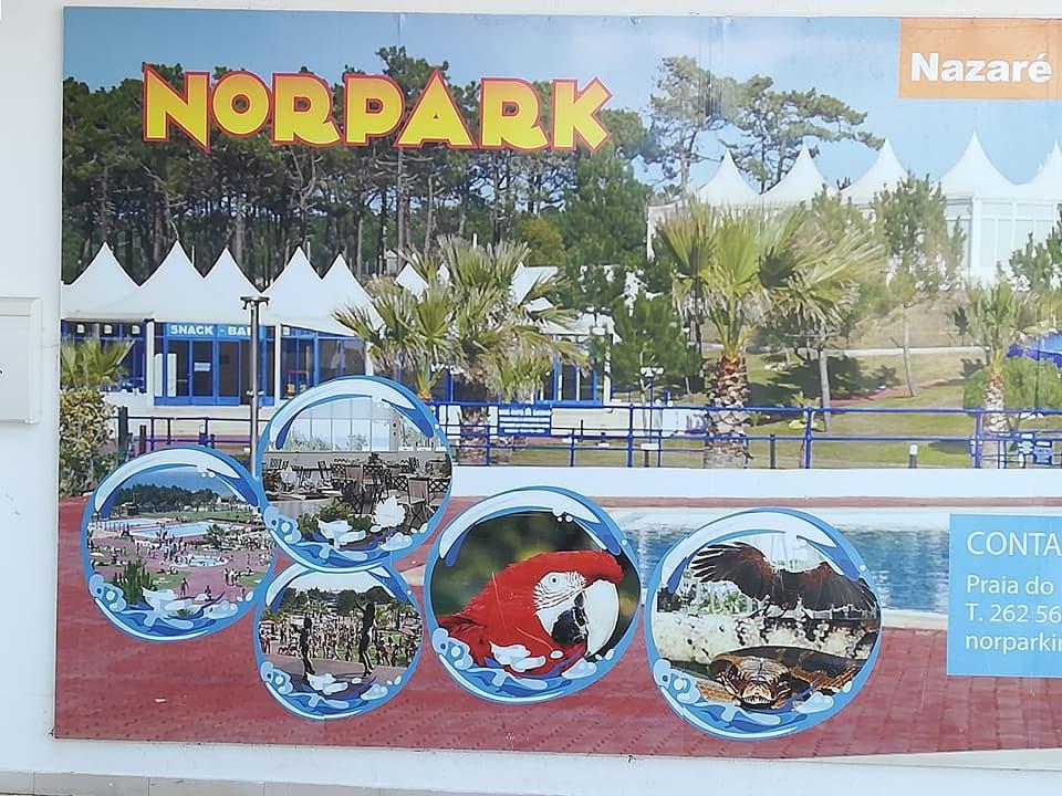 B&B O Pescador Назаре Екстер'єр фото